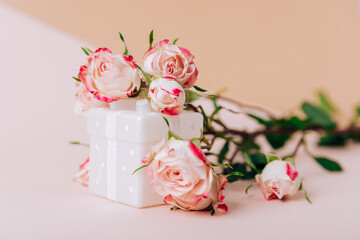 Pink Bush roses on a pink background close-up