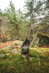 zapato viejo en el bosque 