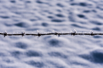 Stacheldraht mit Schneekristallen vor Schnee im Hintergrund