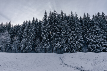 Schneelandschaft mit  Fichtenwald , blauem Himmel und Wolken im Winter 