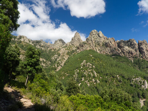 Impressive landscape of rock and forest down the aiguilles de Bavella