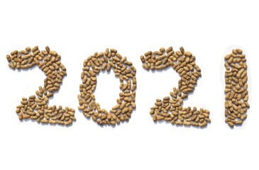 2021 Written with Harvested Peanut Pods, Conceptual Photo of Happy New Year 2021