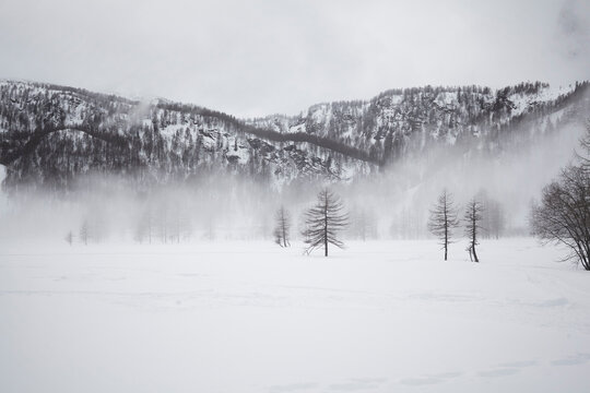 Paesaggio alpino invernale con nebbia