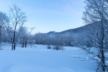 北海道冬の風景　富良野の樹氷