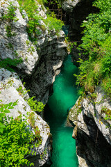 VERTICAL: Deep emerald colored river flows along a gorge in scenic Soca Valley.