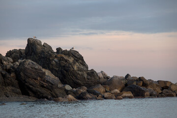 Horizontal seascape view of seagulls perched on the rocks in the twilight, Liguria, Italy, Europe.