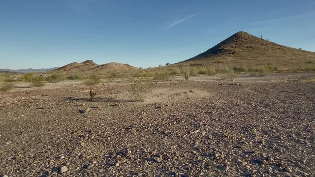 Desert of Quartzsite in Arizona seen from a 4x4 buggy, side by side, driving in the wilderness, USA. Trucking