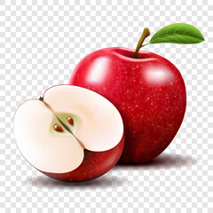 Red apple and half of apple isolated. fruits vector illustration. Realistic modern style