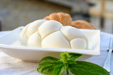 Fresh soft white italian cheese braid mozzarella buffalo made from Italian buffalo's milk by pasta filata method