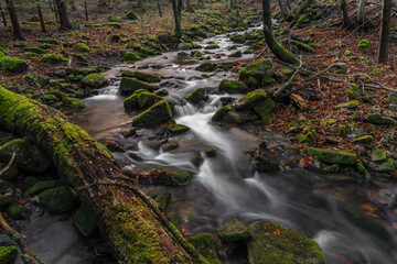 Waterfall on Bucaci creek in Moravskoslezske Beskydy mountains in winter day