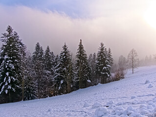 schneebedeckte Landschaft mit Wald und Nebel in den Schweizer Alpen bei Schwarzenberg  im Kanton Luzern