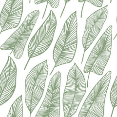Seamless topical vector pattern with palm leaves. Botanical illustration for print design