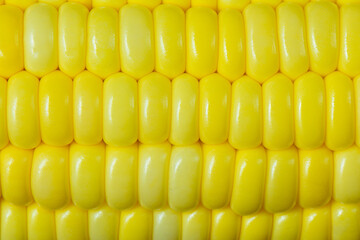 ripe yellow corn as a texture