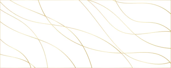 Deurstickers Modern abstract light gold white silver background vector. Elegant concept design with golden line.  © Salman