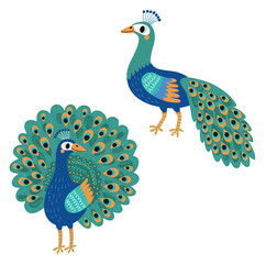 Peacock. Vector bird - 402324797
