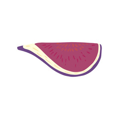 Slice figs isolated on white background. Sketch botanical fruit .