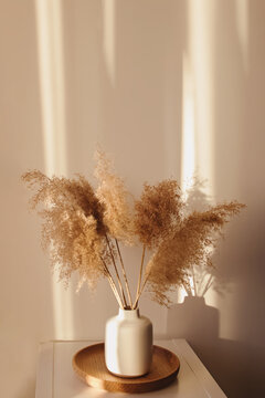 Pampas Grass In Vase In A Living Room