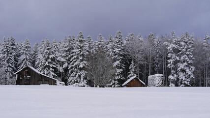 schneebedeckte Hütten vor schneebedeckten Tannen