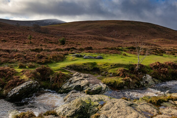 River Dargle, Glensoulan Valley, close to powerscourt waterfall, Wicklow way, Ireland. Europe 2020