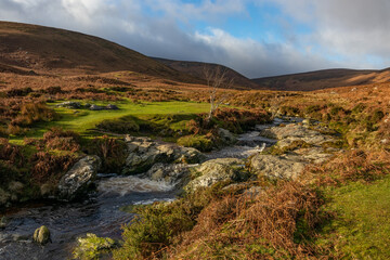 River Dargle, Glensoulan Valley, close to powerscourt waterfall, Wicklow way, Ireland. Europe 2020