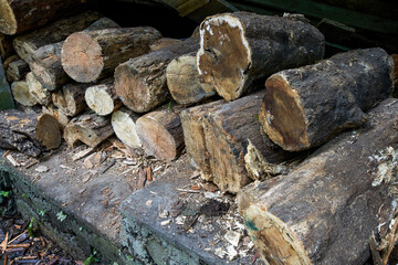 Fototapeta na wymiar Close-up of wood firewood pile of earthen stove in rural China