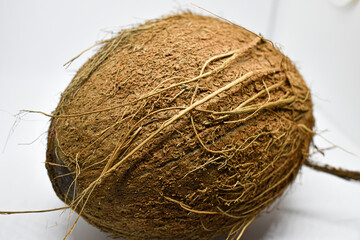 Coconut on white background