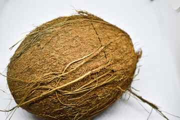 Coconut on white background