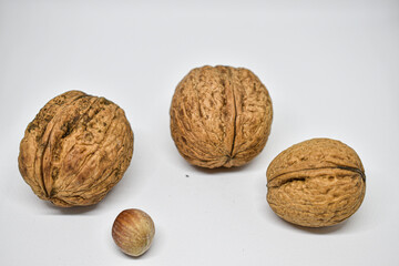 walnuts and hazulnuts on white background