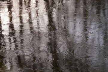 trees reflecting in the frozen water surface