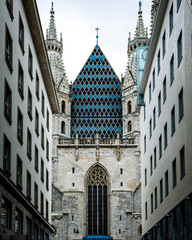 cathedral in vienna