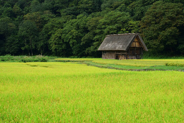 合掌造りの小屋