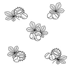 Chestnut set. Collection icon chestnut. Vector