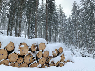 Winter in Hinterzarten im Schwarzwald