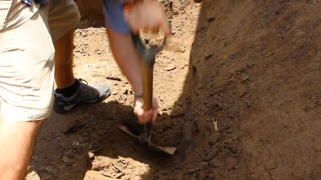 worker digs up the earth with a shovel. digging with shovel dry earth