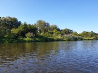 Fototapeta na wymiar Pilica River in summertime Sulejów, Poland