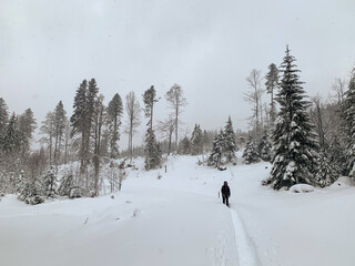 Winter in Hinterzarten im Schwarzwald