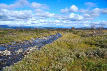 Herbst entlang der Flatruet zwischen Funäsdalen und Ljungdalen