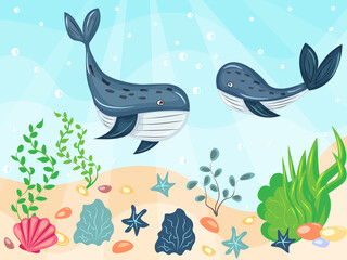 blue whales swim on the sea floor. cartoon style. vector illustration, eps