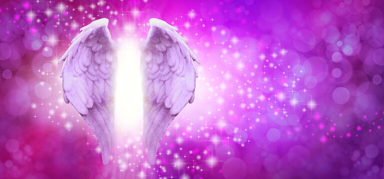 Purple Pink Sparkle Angel Wings Message Board - pair of Angel wings on left side with random white and pink sparkles on a vibrant pink purple bokeh background and copy space
