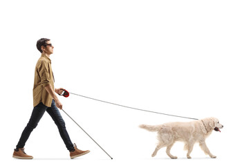 Full length profile shot of a blind man with a dog on a lead and a white cane