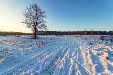 Landscape with winter road and bright sunbeams. Sunrise, sunset in beautiful snowy forest.