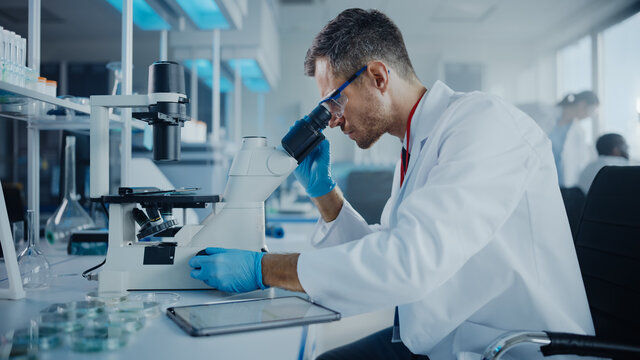 Medical Development Laboratory: Caucasian Male Scientist Looking Under Microscope, Analyzing Petri Dish Sample. Professionals Working in Advanced Scientific Lab doing Medicine, Biotechnology Research