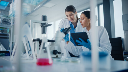 Obraz premium Modern Medical Research Laboratory: Two Female Scientists Working, Using Digital Tablet, Analysing Samples, Talking. Advanced Scientific Pharmaceutical Lab for Medicine, Biotechnology Development