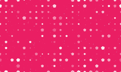 Seamless background pattern of evenly spaced white geraniums of different sizes and opacity. Vector illustration on pink background with stars