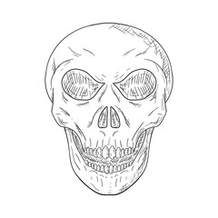 Skull. Vector illustration. Isolated object on white. Hand-drawn.