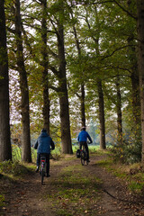 Obraz premium 2 cyclists on a path between the trees in the countryside with the soft light shining through the tree trunks.