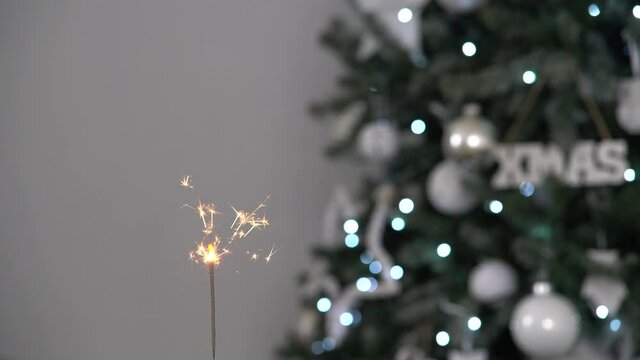 Newyear party firework sparkler with blurry Christmas tree in the background. Static frame.