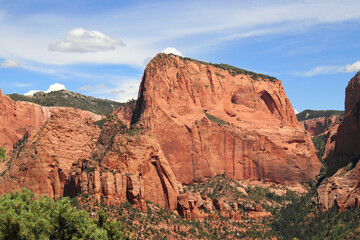 Fototapeta premium red mountain of Kolob canyon in Zion national park