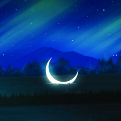 Obraz na płótnie Canvas night sky with moon