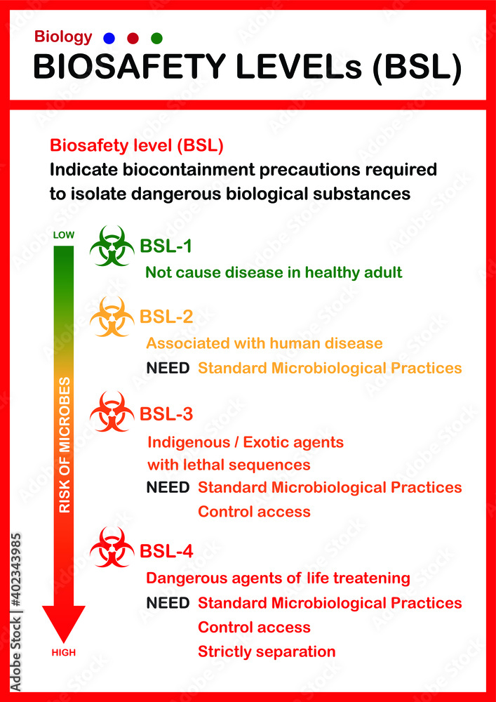 Wall mural Biological chart describe biosafety level which indicate risk of microbe and bioprotectant in microbiology laboratory